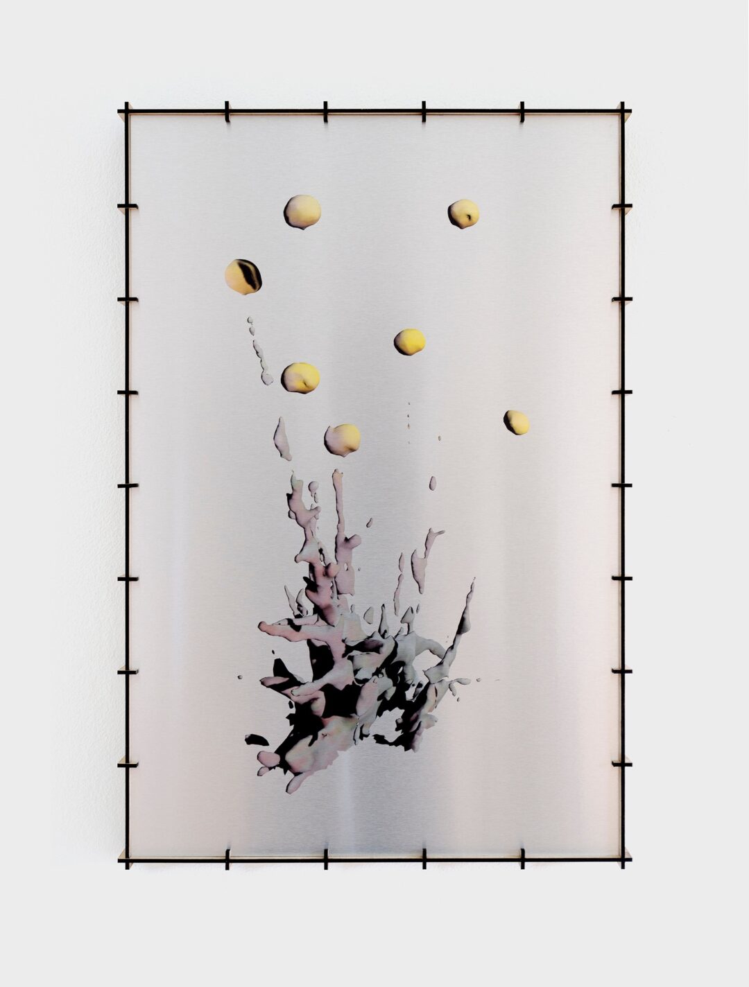 Gelbe Blume (Transkript)