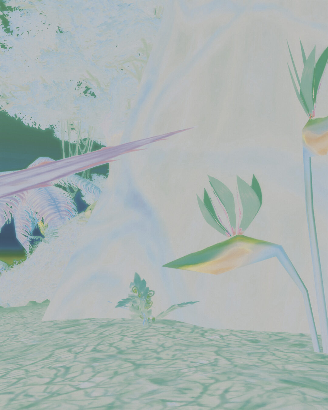 Backdroop (5)