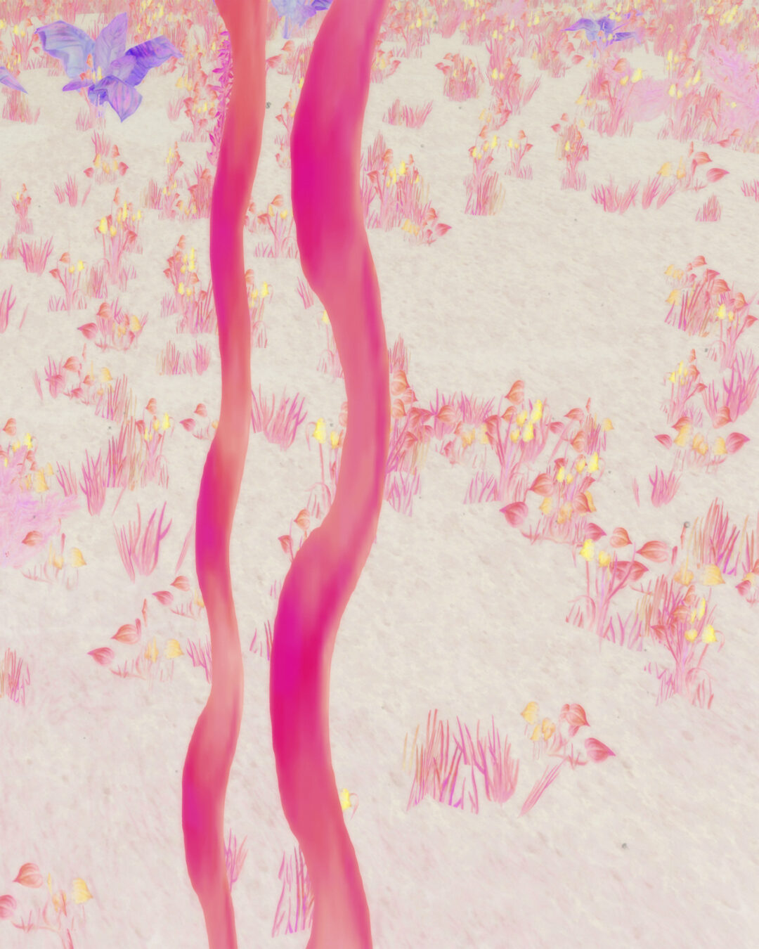 Backdroop (3)