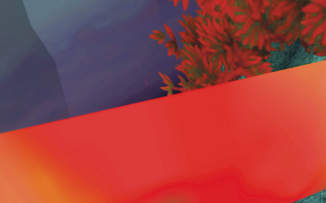 Backdroop (6)