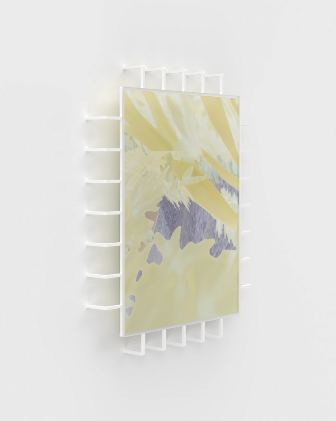 Backdroop (1)