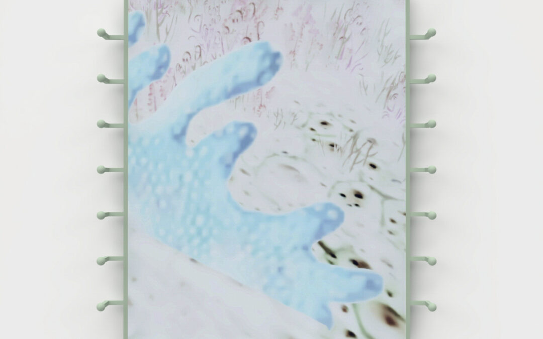 Backdroop (2)