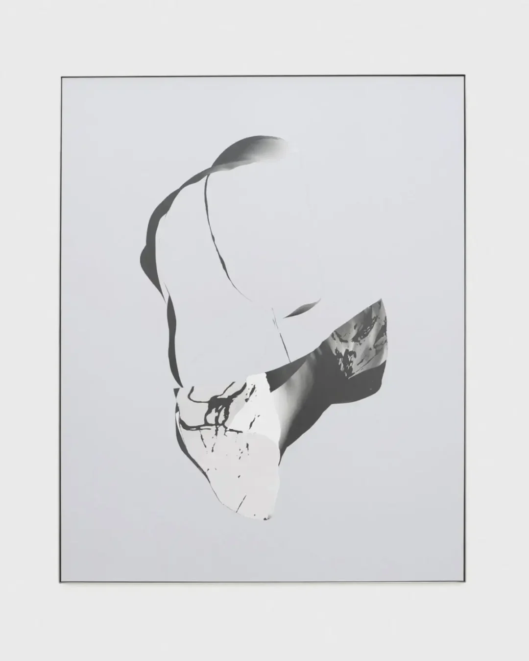 torso 1