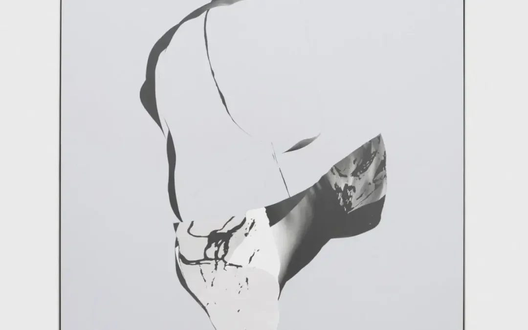 torso 1